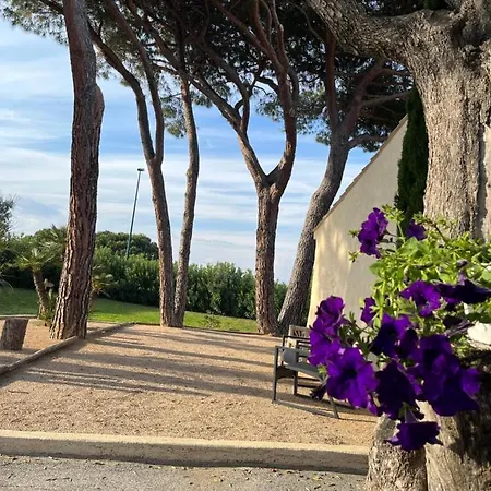 Bed & Breakfast Made 4*